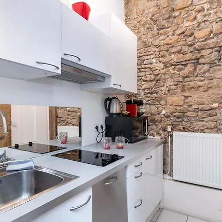Apartment Le Petit Merciere - Le Charme En Plein Centre Lyon